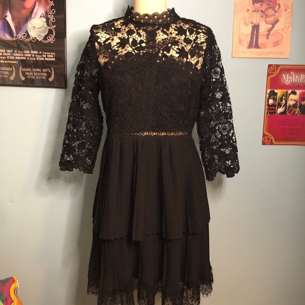 Gothic Romantic Black Lace Pleated Dress Zara M